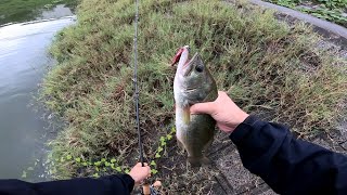 権現堂でバス釣り！【秋の気配】