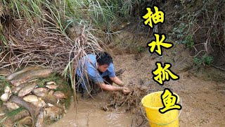 抽水抓鱼，不起眼的小水坑没想到躲藏这么多鱼货，抓鱼抓到手抽筋【民间小邓】