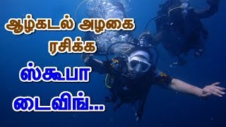 ஆழ்கடல் அழகை ரசிக்க ஸ்கூபா டைவிங்... | Scuba diving