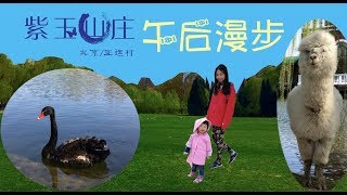 【紫玉山庄】北京亚运村里的世外桃源