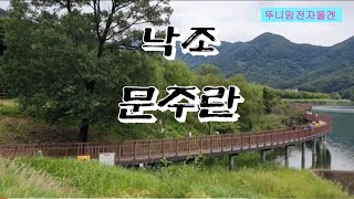 🌹낙조 / 문주란 / 뚜니맘 / 전자올겐 \u0026 커버🌹