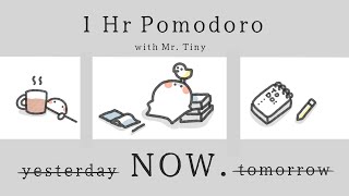 1 Hour Pomodoro |Study with Me Lofi & Focus Beats