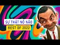 #513 Những Sự Thật Nổ Não Hay Nhất 2022!