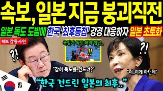 [해외감동사연] 대한민국 대반격! 독도 도발한 일본의 최후 국가비상사태 발령
