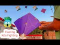 Evening Kite Fighting |Kite Fighters | Kite |