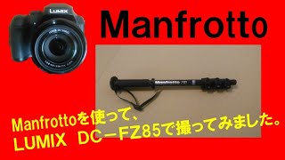 Manfrottoの1脚を使用して、FZ85のカメラの手振れの軽減効果を実証してみました。