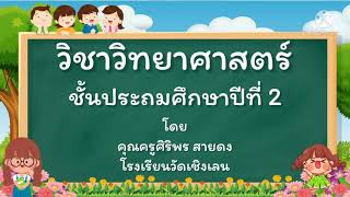 วิทยาศาสตร์ ป.2 เรื่อง การสืบพันธุ์แบบอาศัยเพศของพืชดอก