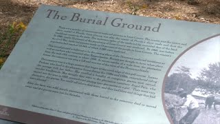 Houstoun Plantation Cemetery Tour