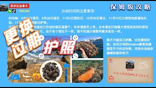 加拿大换护照详细步骤分享2020年