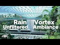 Unfiltered Ambiance at Singapore's Changi Airport Jewel, Rain Vortex during Chinese New Year 2024