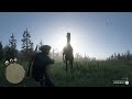 【荒野大镖客 2】如何在第二章获取全黑色马 red dead redemption 2 how to get the all black horse in chapter 2