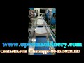 Semi and Fully Auto Paper Napkin Paper Converting Packing Making Machines whatsapp: +86-15159281187