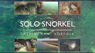 SOLO SNORKEL - on the chalk reef at Sheringham, Norfolk - clear seas and plenty of sealife