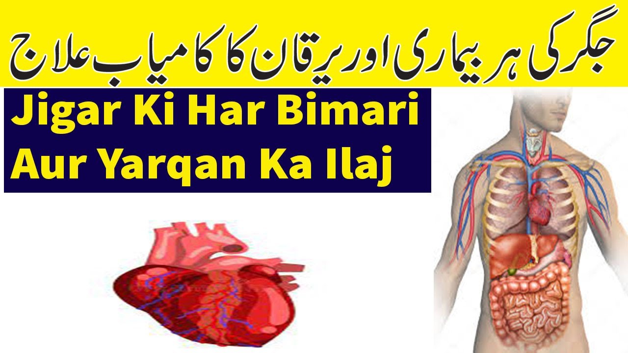 Jigar Ki Har Bemari Aur Yarqan Ka Kamyab Ilaj || Liver And Hepatitis C ...