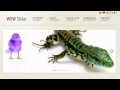 jQuery Slider Carousel: create awesome slideshows in seconds!