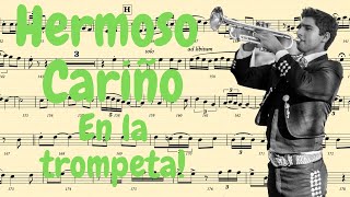 Comor tocar "Hermoso Carino" en la trompeta - Vicente Fernandez