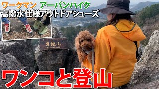 ワークマンアーバンハイクはちょっとした登山OK！ワンコと登山始めました！男抱山（338m）・女抱山（335m）#中古キャンピングカー #キャンピングカー #車中泊