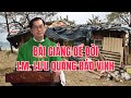 Bài Giảng Để Đời Của Cha Lưu Quang Bảo Vinh Về Thực Trạng Việt Nam Ngày Nay