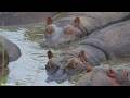LIVE at the waterhole - 14 February 2026