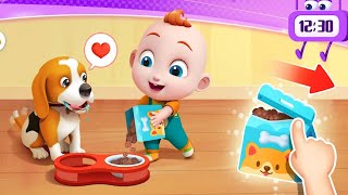 Super JoJo: My Home - Take Care of JoJo's Pet Puppy - Get to know JoJo's Family - Babybus Games