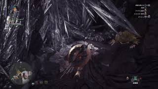 【MHW】ドラゴンフィレ（黄昏の石）の入手場所 龍結晶の地