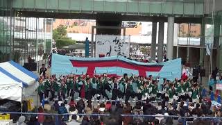 2018 3 10 浜松がんこ祭り　ソラモ会場　岐阜聖徳学園大学　柳