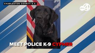 Charleston County Sheriff's Office's secret weapon against new age criminals