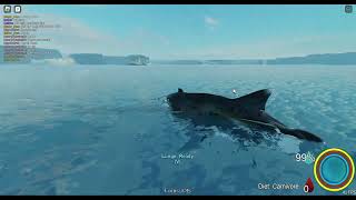 Dunkleosteus - Oceanic testing 2