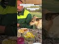 Нерешительный Дэня собаки дом шашлык пикник dog