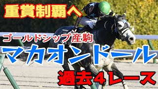 【重賞制覇へ】マカオンドール 過去4レース集【阪神大賞典】