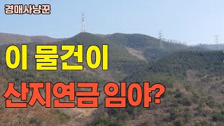 이 물건은 산지연금 임야가 될만 할까?