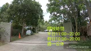 嘉義市東區圓仔林幸福山丘桐花開了