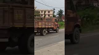 Man injured in wild buffalo attack in North Guwahati