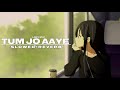 Tum Jo Aaye (Slowed+Reverb)  | Rahat Fateh Ali Khan | Lofi Songs