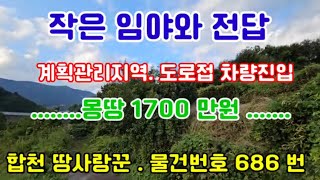 거창군 신원면 대현리 임야 매매 /일조권좋은 남서향/ 계획관리지역/ 합천가가부동산/합천토지/합천좋은위치의 토지매매/ 합천가가 부동산매물좋은 토지 / (물건번호686번)