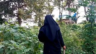 Aktivitas Membersihkan kebun Setelah di tinggal 1 bulan  (Timelapse) - Hidup Di Desa