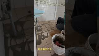 土水泥作施工現場影片:貼地磚抹縫 利興土水泥作新增建改造翻修工程 嘉義縣嘉義市台南市雲林縣