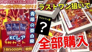 【遊戯王】ラストワン賞が欲し過ぎて、ショップの5,000円くじを全部買ってみた！！！！