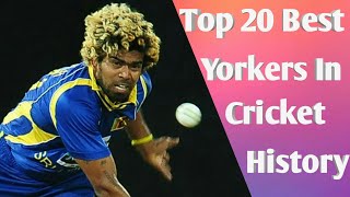 Top 20 best yorkers in cricket history || Best Yorkers ||