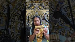 Hector Loza From Ecuador Native Music