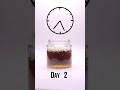 Tooth in Coca-Cola (coke) for 7 days #shorts