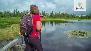 Koroška. Najboljše pohodniške poti – Ribniško Pohorje /Best hiking trails – Ribniško Pohorje