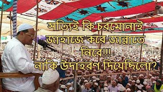 চরমোনাই পীর জাহাজে করে জান্নাতে নিবে!!! আসলেই কি তাই??!! নাকি তিনি উদাহরণ দিয়েছিলেন। পুরা লিংক নিচে।