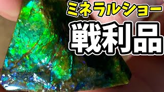 【散財マスターの本気！】池袋ミネラルショーの戦利品紹介（みんなの参考動画）鉱物系Vtuber　＃鉱物 ＃化石 ＃宝石 ＃ミネラルショー ＃Vtuber ＃恐竜