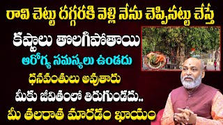 రవి చెట్టు దగ్గర నేను చెప్పినట్టు చేయండి కష్టాలు తొలగిపోతాయి | Nanaji Patnaik