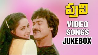 Puli Telugu Movie Songs || Full Video Songs || Jukebox || Chiranjeevi, Radha || Chakravarthy