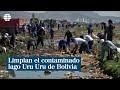 Limpian el contaminado lago Uru Uru de Bolivia convertido en un basurero