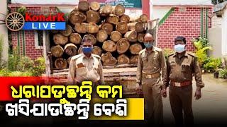 ଲକ୍ଷାଧିକ ଟଙ୍କାର ଶାଗୁଆନ କାଠ ଜବତ, ଗଜପତି || GAJAPATI NEWS