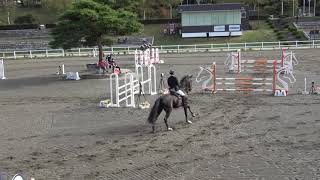 第1回TRC小淵沢ホースショー　第1競技　中障害飛越競技Ｄ Ⅰ4年　有賀　翔＆桜宝