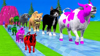 Paint \u0026 Animals Cow,Monkey,Dog,Rabbit,Cat,Lion,T-rex Fountain Crossing Transformation Animal Cartoon